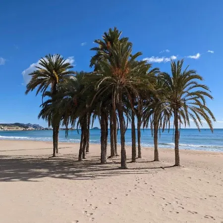 Blanca Rosa Santa Pola